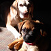 Charlie Russell Photo 35