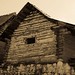 Eduardo Arteaga Photo 35