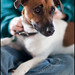 Ollie Fox Photo 27