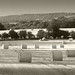 Kent Hay Photo 18