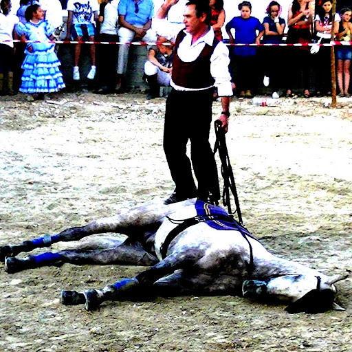 Andres Calvo Photo 16