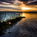 Carl Buoy Photo 10