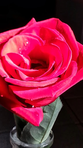 Juana Quispe Photo 11