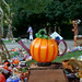 Ingrid Hanson Photo 26