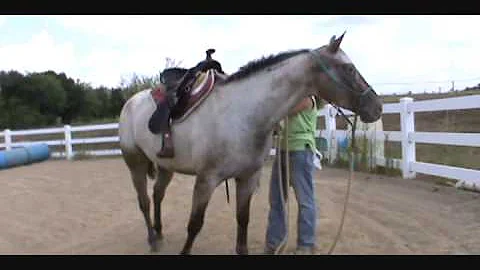 Nancy Swearengin Photo 10