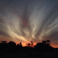 Brian Chalmers Photo 8