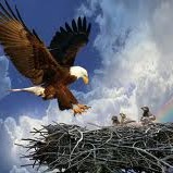 Kathy Dozier Photo 10