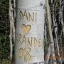 Danielle Downey Photo 22