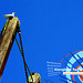 Jonathan Garrido Photo 26