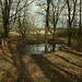 Aaron Pond Photo 29