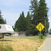Tedd Dawson Photo 10