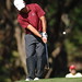 Max Feldman Photo 28