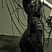 Alex Samayoa Photo 27