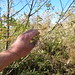 Tracy Hoskins Photo 35