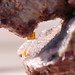 Crystal Skinner Photo 36