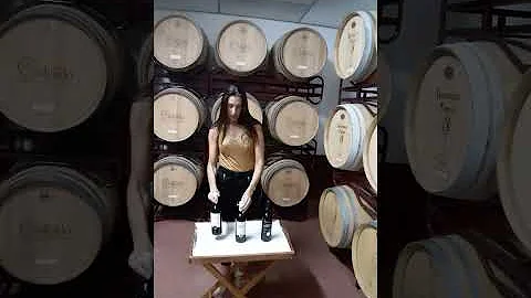Veronica Salgado Photo 26