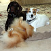 Don Colby Photo 11
