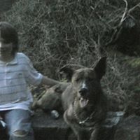 John Rabey Photo 2