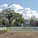 Henry Beck Photo 41