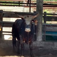 Travis Higginbotham Photo 6