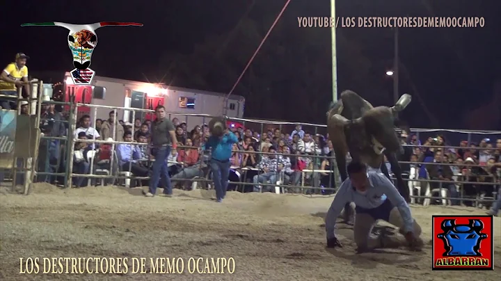 Rogelio Morales Photo 34