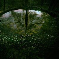 Julie Pruitt Photo 5