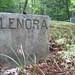 Lenora Green Photo 27