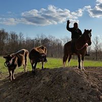 Jason Nowicki Photo 3