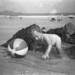 Richard Brumpton Photo 11
