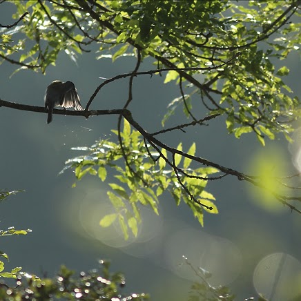 Christine Boyer Photo 14
