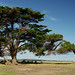Carl Churchill Photo 19