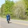 Todd Gross Photo 29