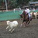 Tara Crooks Photo 25
