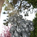 Rachel Leff Photo 18