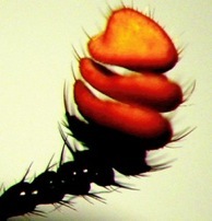 Humberto Quiroz Photo 14