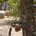 Keng Chen Photo 27