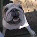 Gracie Murphy Photo 29