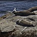 Francis Mccomas Photo 16