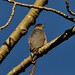 Juanita Hawk Photo 26