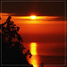 Mehmet Gunes Photo 23