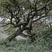 Michael Coons Photo 39