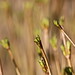 Mark Monteleone Photo 16