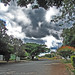 Saul Silva Photo 32