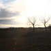 Lauren Atchison Photo 20