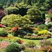 Shelley Huang Photo 31