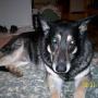 Frank Ackerman Photo 22