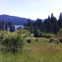 Barbara Comstock Photo 5