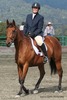 Jennifer Marek Photo 30