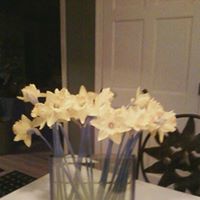 Nancy Rowley Photo 7