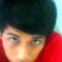 Mark Shine Photo 1